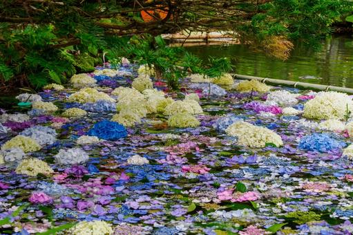 Photo, temple, hydrangea, pool, 