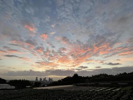 武蔵小杉タワーマンション夜明け 武蔵小杉,タワーマンシタワマン,タワマンの写真素材