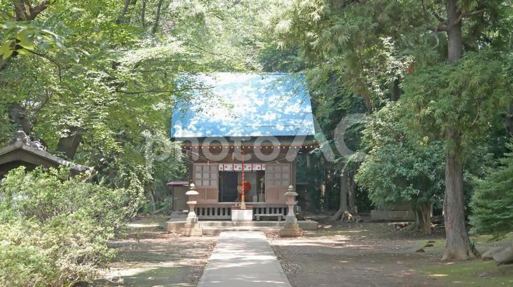 夏の静寂な光景、人影のない小さな神社境内をパチリ！ 夏,光景,神社の写真素材