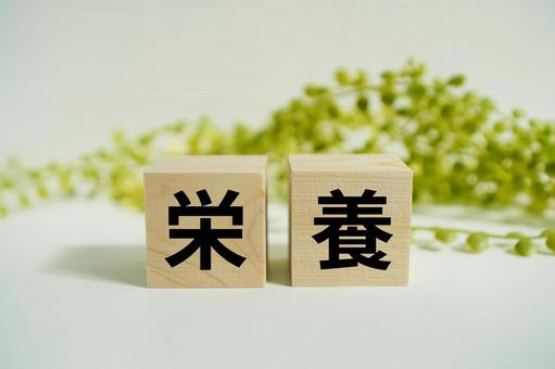 木製ブロックに『栄養』の文字 木製ブロックに『栄養』の文字 栄養,健康,食事の写真素材