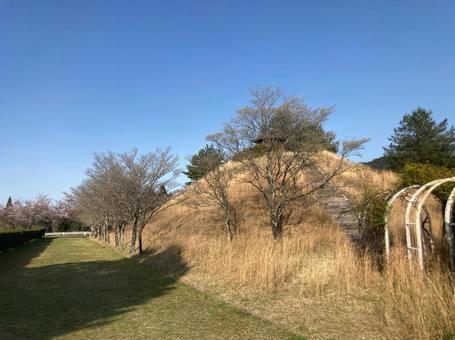 広場 広場の写真