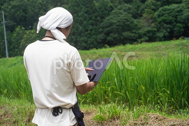 タブレット端末で仕事する男性 スマート農業,農業,農家の写真素材