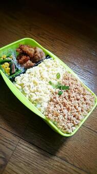 二色丼弁当 お弁当,社会人,一人暮らしの写真素材