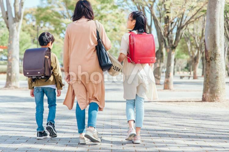 公園を歩く親子（後ろ姿） 親子,子供,送り迎えの写真素材