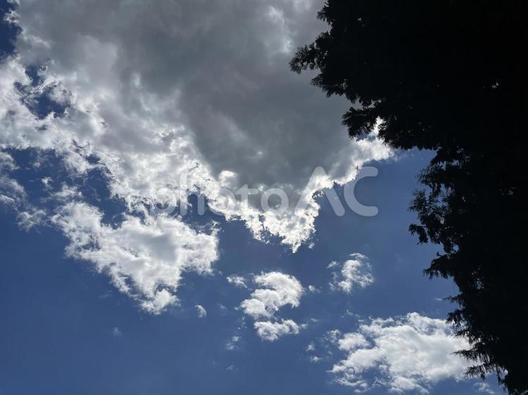 木漏れ日と青空 青空,木漏れ日,空の写真素材