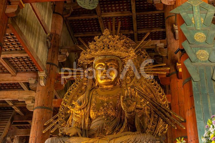 奈良公園東大寺　奈良の大仏　 奈良公園,東大寺,大仏の写真素材