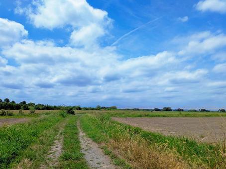 青空とあぜ道 青空とあぜ道 空,青空,雲の写真素材