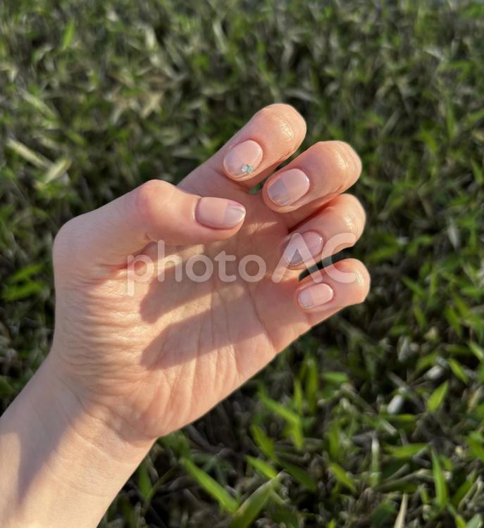 草むらとピンクネイル ピンクネイル,ネイル,爪の写真素材