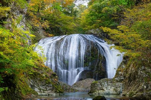 秋の関山大滝⑺ 秋,紅葉,滝の写真素材