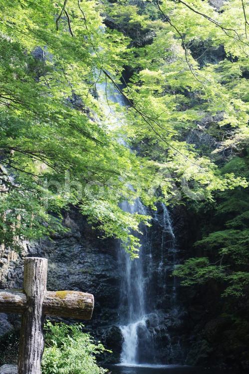 箕面の滝 滝,箕面の滝,山の写真素材
