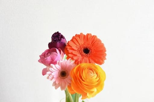 三種の花 三種の花 チューリップ,赤紫,ラナンキュラスの写真素材