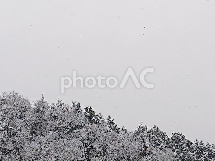 雪、冬、冬の景色、雪化粧(背景、テクスチャー) 雪,冬,冬景色の写真素材