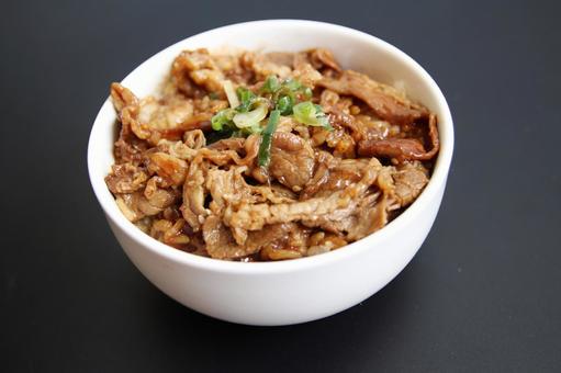 牛丼のアップ写真 牛丼のアップ写真 牛丼,ご飯,牛肉の写真素材