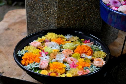 花手水 花手水の写真