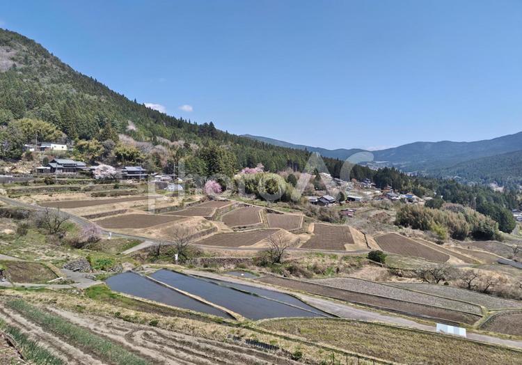 春の棚田　恵那 山,斜面,のどかの写真素材