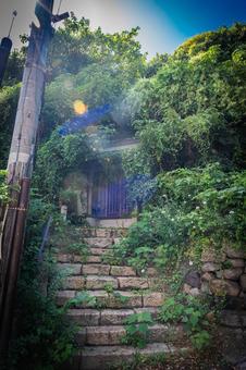 広島県　鞆の浦 鞆の浦,福山,広島の写真素材