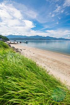 夏の海岸の景色 夏の海岸の景色 ビーチ,癒し,自然の写真素材
