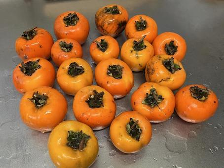 柿 柿,果物,フルーツの写真素材