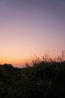 中の池の朝焼け 中の池の朝焼けの写真