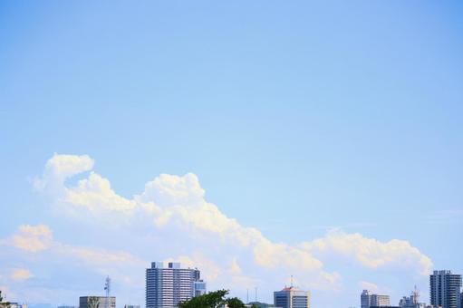 夏空と雲 夏空と雲の写真