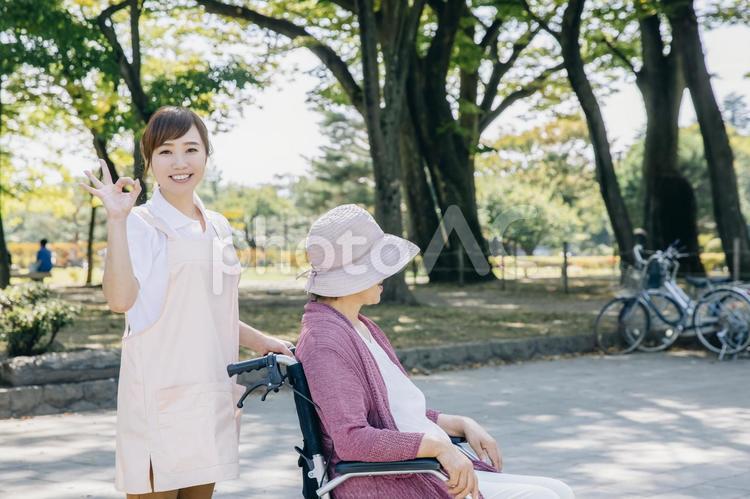 公園・庭を散歩する介護士と高齢者 介護士,介護,ヘルパーの写真素材