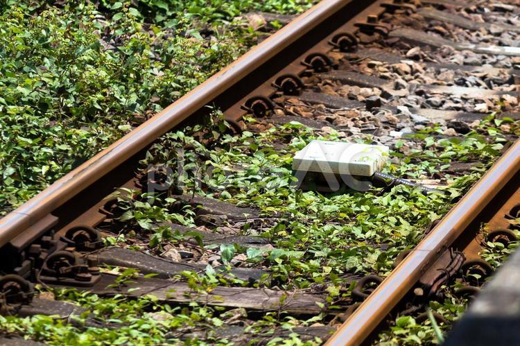 草の茂った線路 線路,単線,駅の写真素材