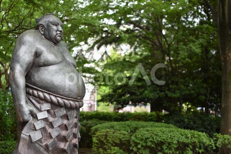 勾当台公園の銅像（谷風）3 勾当台公園,銅像,アップの写真素材