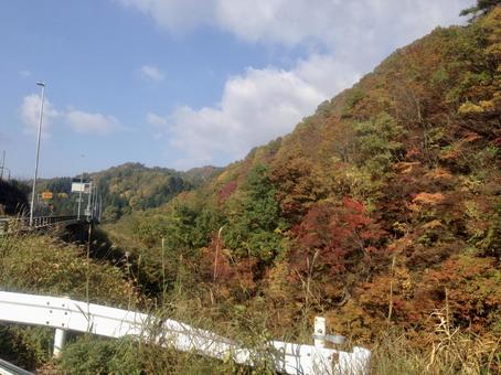秋山, JPG 秋山, शरद ऋतु रंग, मेपल, पतझड़, JPG