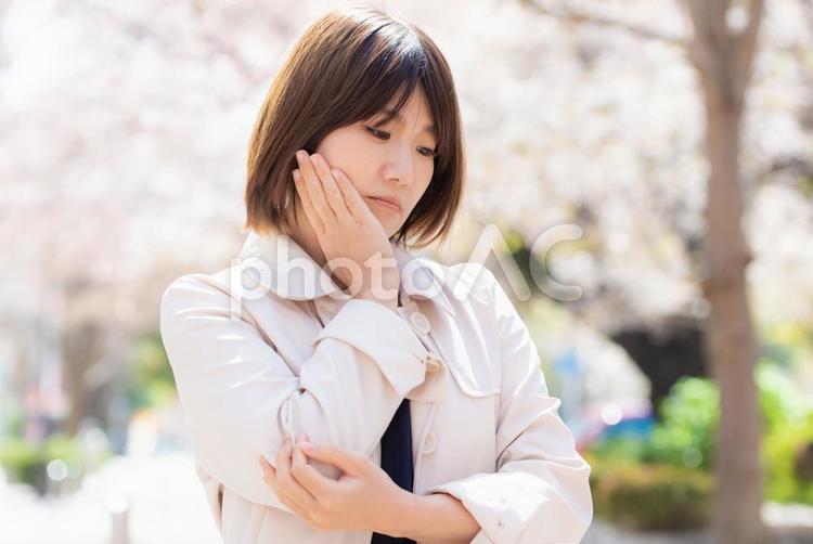 桜の咲く春の屋外で悩む女性 女性,春,桜の写真素材