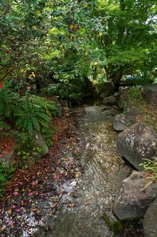 小川のある風景 小川のある風景 風景,自然,日本の写真素材