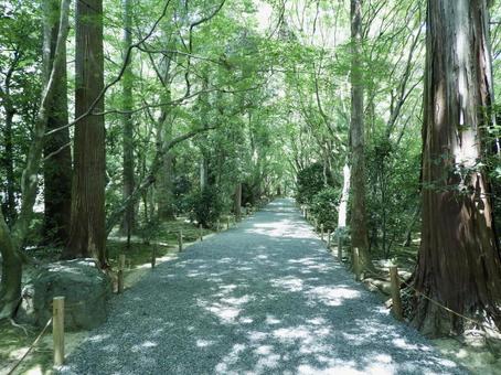 京都龍安寺の散策路 京都龍安寺の散策路の写真