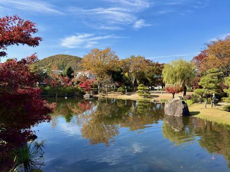 秋の昼間の紫式部公園　11月　紅葉 11月,昼間,カラフルの写真素材