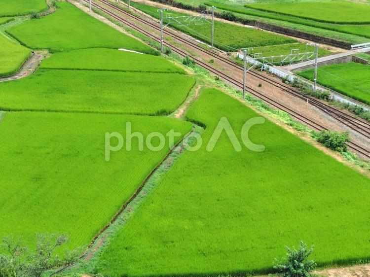 田園風景_2 田んぼ,線路,田園風景の写真素材