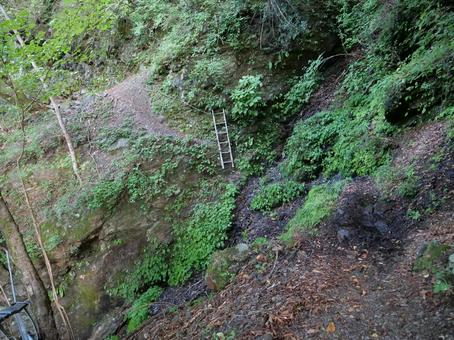 笊ヶ岳 登山道 笊ヶ岳 登山道の写真