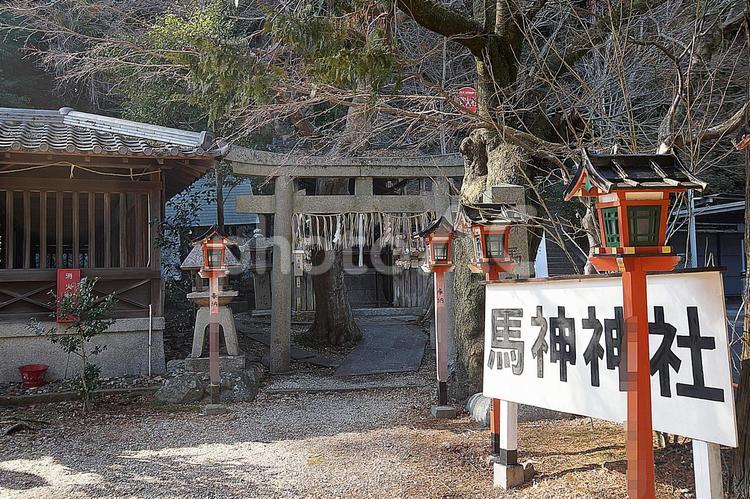 パワースポット　滋賀県　長等神社⑥　摂社 パワースポット,滋賀県大津市,長等神社の写真素材