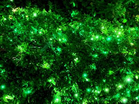 イルミネーション イルミネーション,電飾,光の写真素材