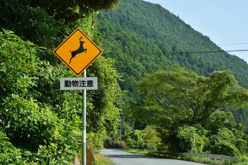 シカ飛び出し注意の看板 道路標識,シカ,鹿の写真素材