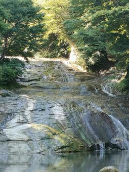 滝 滝の写真