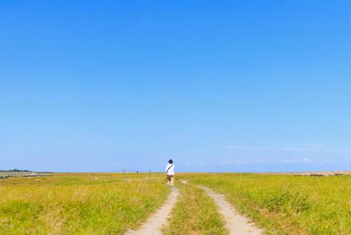 青空の下、まっすぐに伸びる道 青空の下、まっすぐに伸びる道 道,一本道,歩くの写真素材