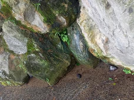 小川 小川の写真