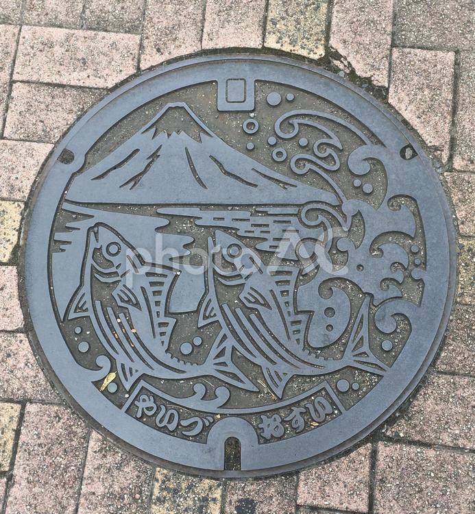 マンホール　焼津　カツオ２尾　汚水 マンホール,蓋,静岡の写真素材