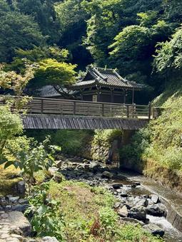 永平寺の参道 2025年夏 永平寺の参道 2025年夏 川,夏,参道の写真素材