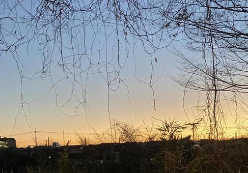 夕暮れ 夕暮れの写真
