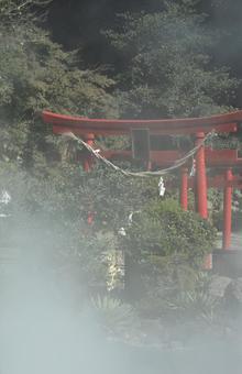 海地獄 海地獄,別府温泉,地獄の写真素材