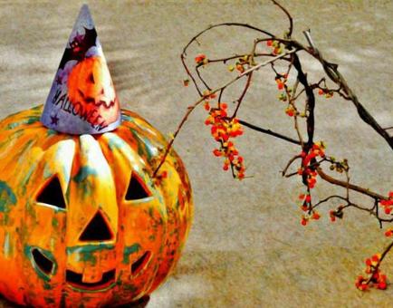 ハロウィンカボチャ② ハロウィンカボチャ②の写真