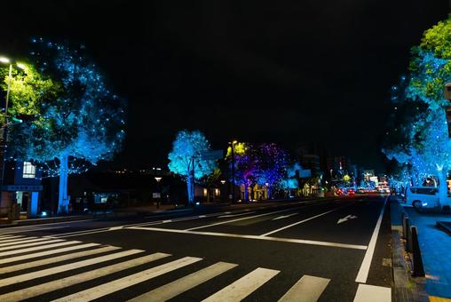 【兵庫】姫路城前のイルミネーション 姫路城,姫路,城の写真素材