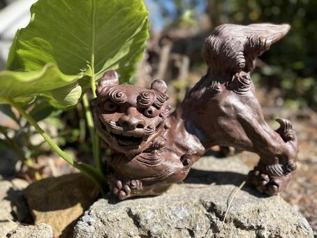 シーサー 沖縄,okinawa,魔除けの写真素材