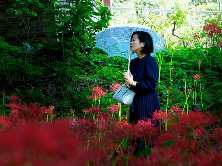 40:彼岸花を静かに眺める女性 40:彼岸花を静かに眺める女性 彼岸花,ミステリアス,悲しげの写真素材