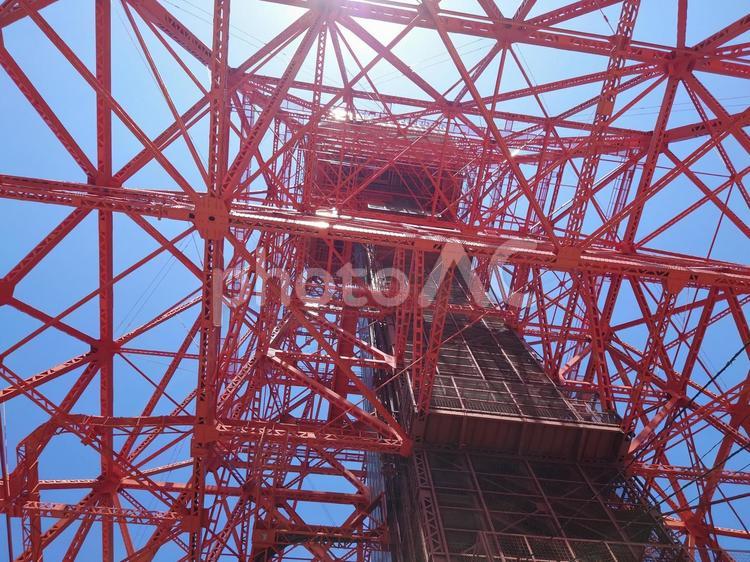 東京タワー下からみた景色 東京タワー,電波塔,塔の写真素材