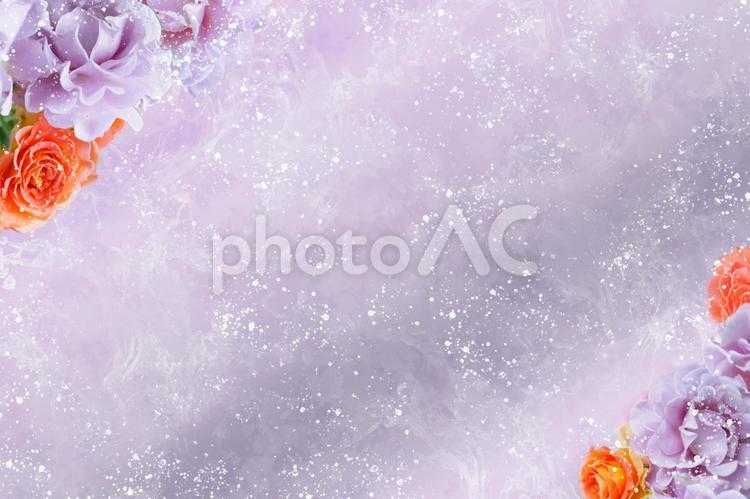 紫のバラのフラワーフレーム/メッセージカード バラ,薔薇,ローズの写真素材